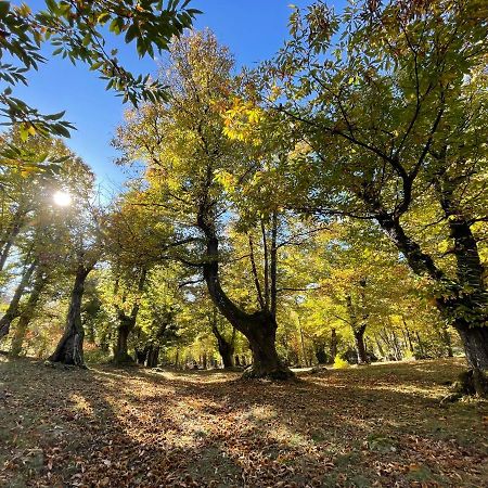 “All'Antica Dogana” Bosco  Exterior foto